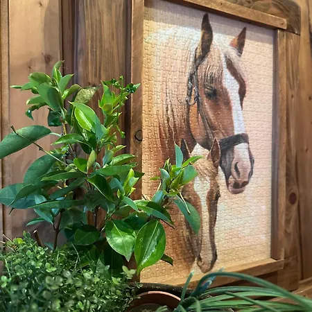 Amazing With Ocean View, Cueva De La Arena *